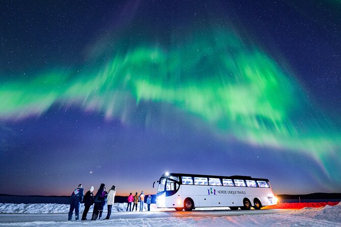Bus Tour with Hunting Northern Lights - The guides can make a cold wait worthwhile