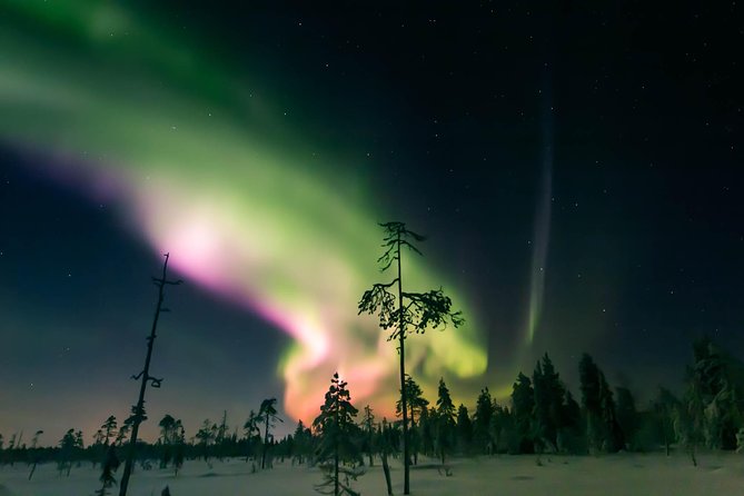 Capturing Auroras in Pyhä - What happens when the Northern Lights appear