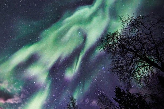 Capturing Auroras in Pyhä - A hot berry drink in the cold