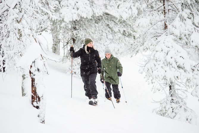Classic Wilderness Skiing in the Pyhä-Luosto National Park - Starting at Camp Kitchen and Bar in Pyhätunturi