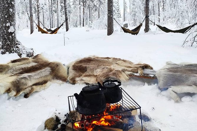 Cocooning in the HaliPuu forest: The ultimate Arctic hammock relaxation - A forest visit built around doing less