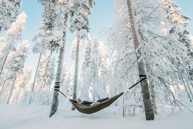 Cocooning in the HaliPuu forest: The ultimate Arctic hammock relaxation - From Veitservasa to the HaliPuu pines