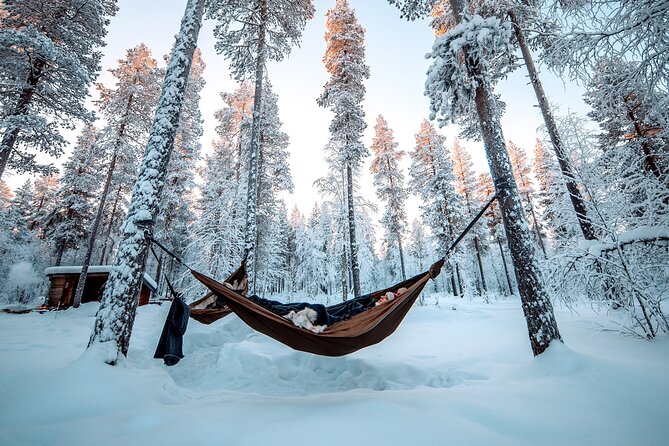 Cocooning in the HaliPuu forest: The ultimate Arctic hammock relaxation - The hammock-nest is the main event