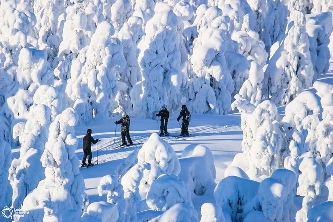 Cross-Country Skiing Trip - Food, diets, and cold-weather comfort