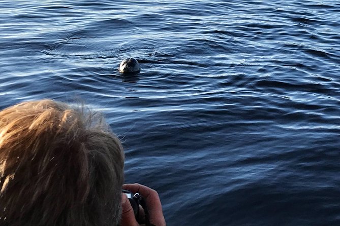 Cruise in Puumala by Lake Saimaa - Three hours of water, stories, and refreshments