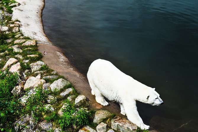 Day Trip to Ranua Arctic Wildlife Park from Rovaniemi - Is $157.74 a fair price?