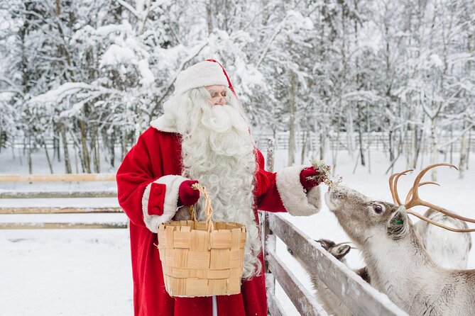 Daytour to Santa Claus Village, Reindeer and Husky Safaris, Photo, and Lunch - Crossing the Arctic Circle and earning a diploma