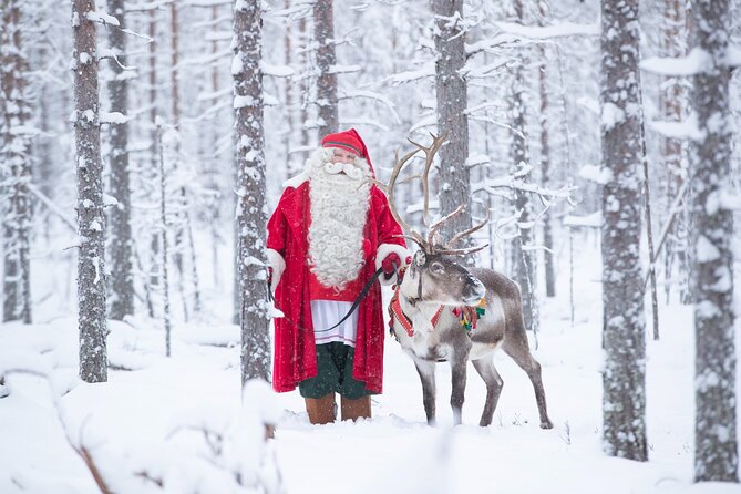 Daytour to Santa Claus Village, Reindeer and Husky Safaris, Photo, and Lunch - The 400-meter reindeer safari