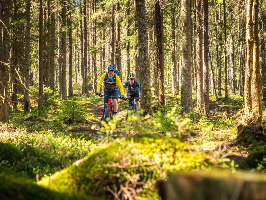 E-FatBike experience in small groups - The climb to Ounasvaara hilltop