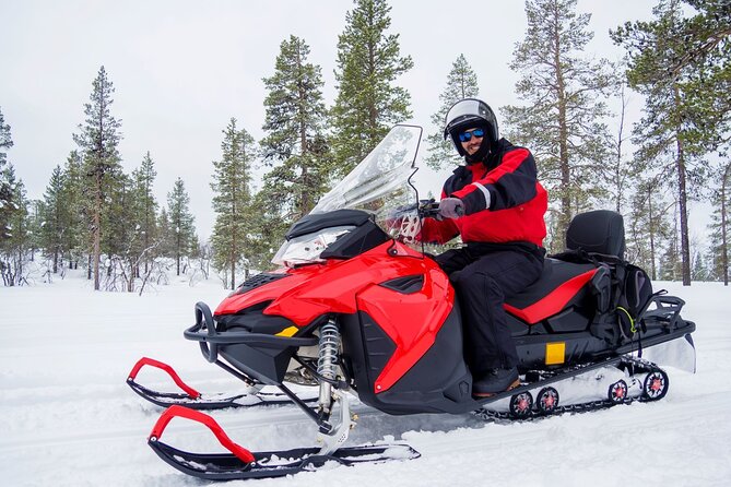 Easy Snowmobile Safari - Key points at a glance