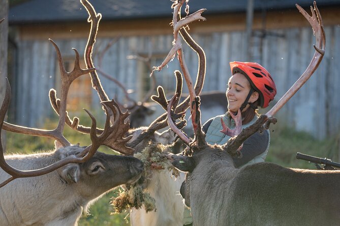 Electric Fatbike Trip to the Reindeer Farm - How the electric fatbike changes the outing