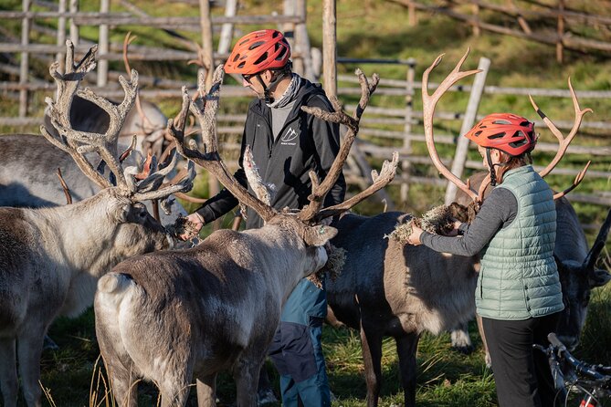 Electric Fatbike Trip to the Reindeer Farm - The return route and the 12:30 finish