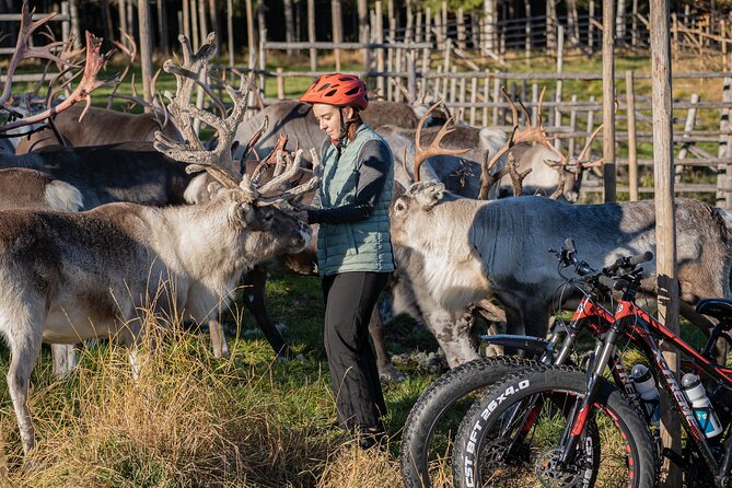Electric Fatbike Trip to the Reindeer Farm - What the $177.44 price means