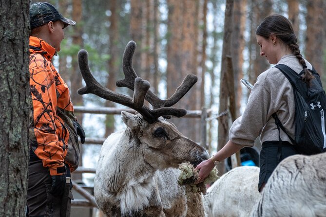 Electric Fatbike Trip to the Reindeer Farm - Meeting the reindeer at the farm