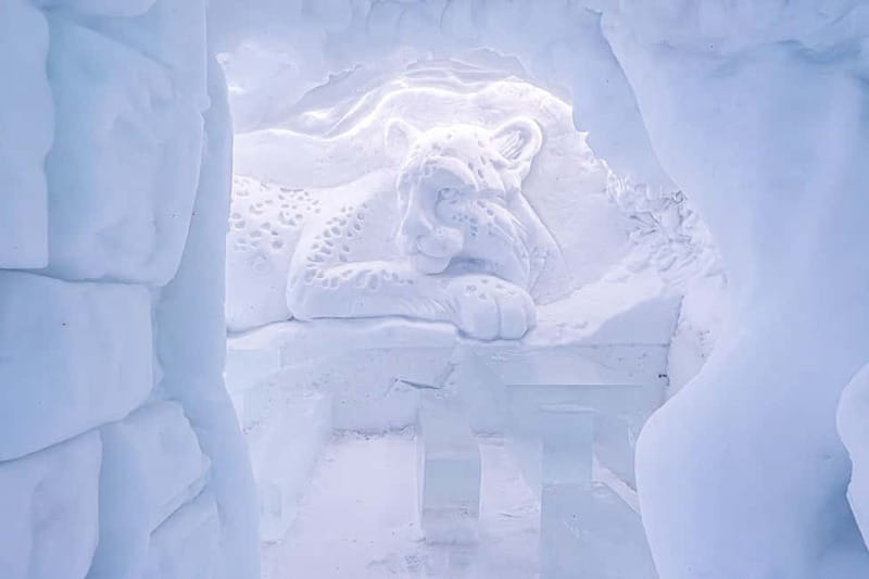 Entrance tickets to Snowman World and Snow Restaurant Dinner - Snow sculptures, the ice bar, and the cold factor