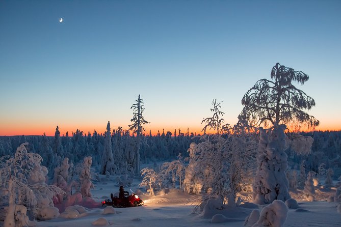 Evening Escape - Snowmobile safari and campfire in Rovaniemi - Watching for the Northern Lights