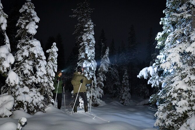 Evening Ski Trek to the Wilderness - Extra Small group - Key points to know before booking