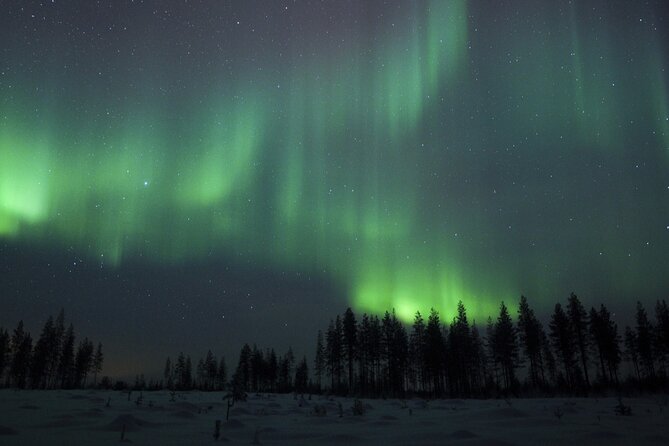 Evening Ski Trek to the Wilderness - Extra Small group - Why night skiing near Perunkajärvi feels different
