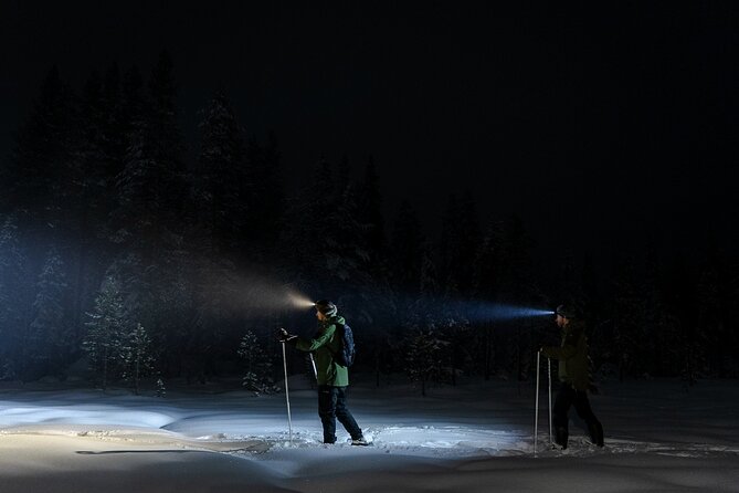 Evening Ski Trek to the Wilderness - Extra Small group - Who will enjoy this, and who should think twice