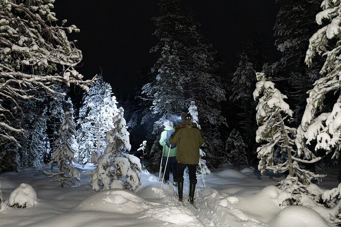 Evening Ski Trek to the Wilderness - Extra Small group - Learning trekking skis before the forest