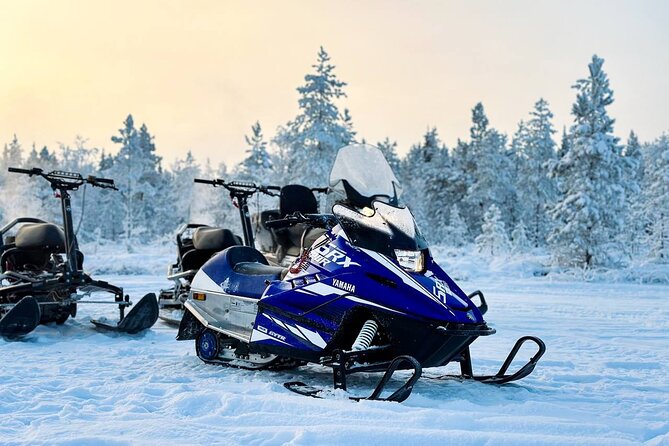 Expedition "INTO THE WILD" Safari and Lunch in Glass Igloo - Riding through Lapland’s northern scenery