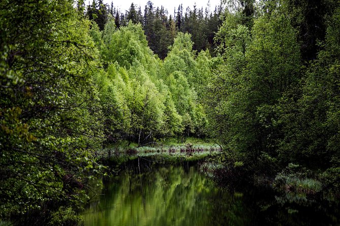 Explore the Wilderness (Summer & Autumn) - Key points at a glance