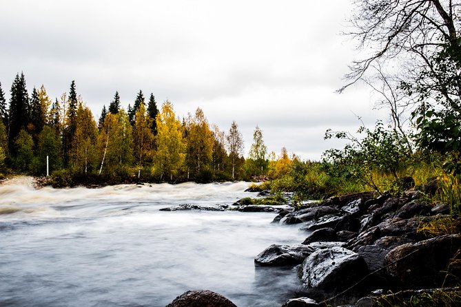 Explore the Wilderness (Summer & Autumn) - Why this Rovaniemi photo trip is different