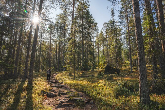 Explore the Wilderness (Summer & Autumn) - Snacks, drinks, and a light lunch outdoors