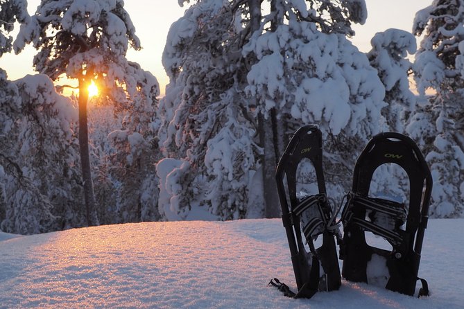 Explore Winter Woods: Snowshoe walk with local Biologist - Key points to know