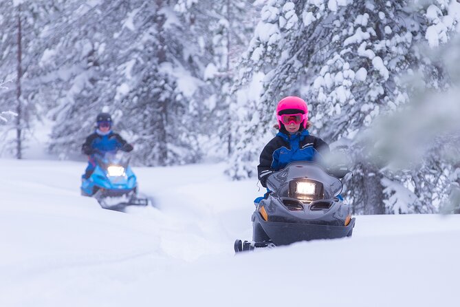 Family day: Reindeer, Husky and Snowmobiling in Levi - Husky farm: fast dogs and a short run