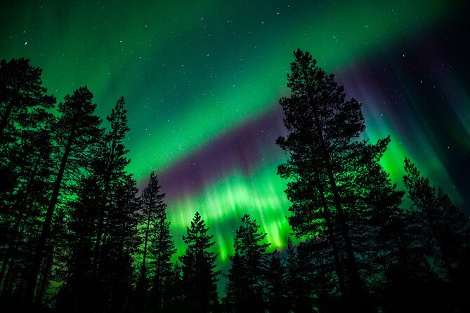 Family-Friendly: Northern Lights Adventure from Rovaniemi - Why the small group matters for families