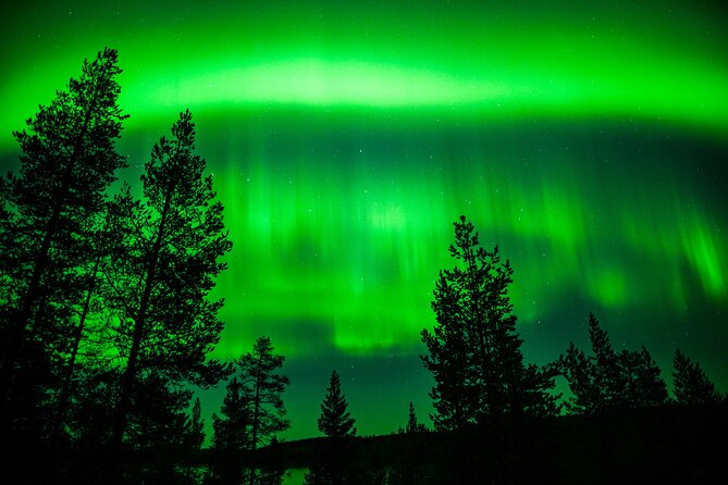 Family-Friendly: Northern Lights Adventure from Rovaniemi - Cameras, tripods, and realistic photo expectations