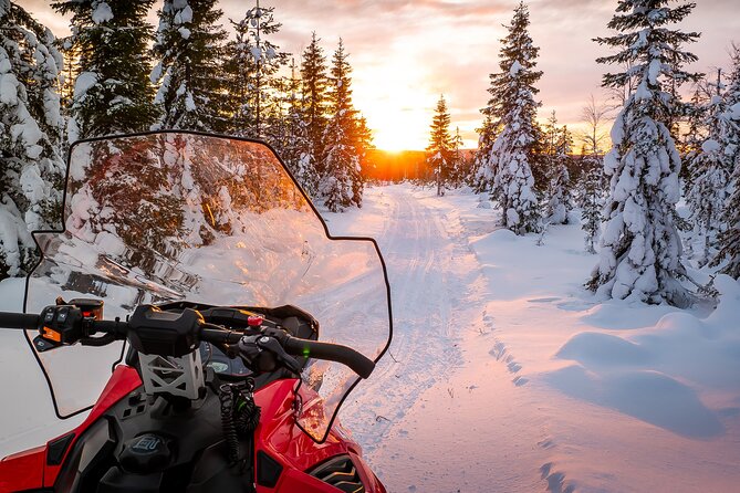 Family Snowmobile Safari in Rovaniemi - From Kansankatu to the Arctic Circle forest