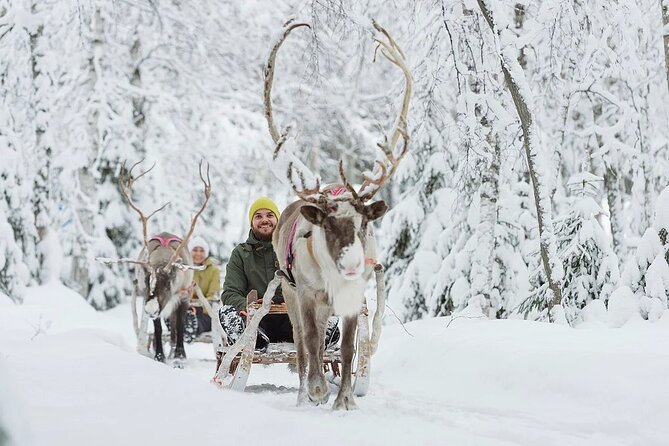 Forest Trail Reindeer Safari - The 2-kilometer sleigh ride through the woods