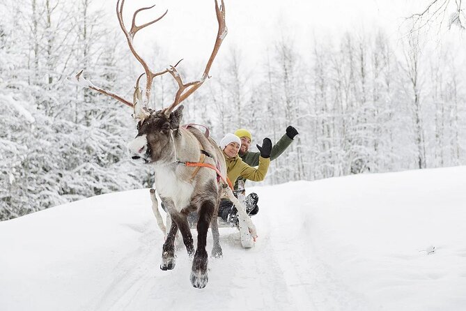Forest Trail Reindeer Safari - How the winter clothing works for you