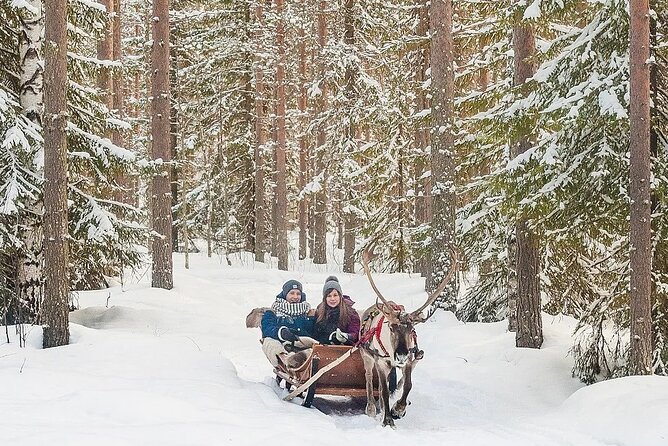 Forest Trail Reindeer Safari - How the experience compares with a busier Arctic activity