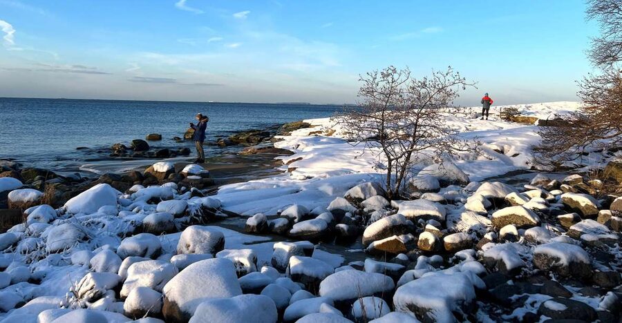 From Helsinki: Archipelago Excursion in Porkkalaniemi - The Finnish lunch beside the water