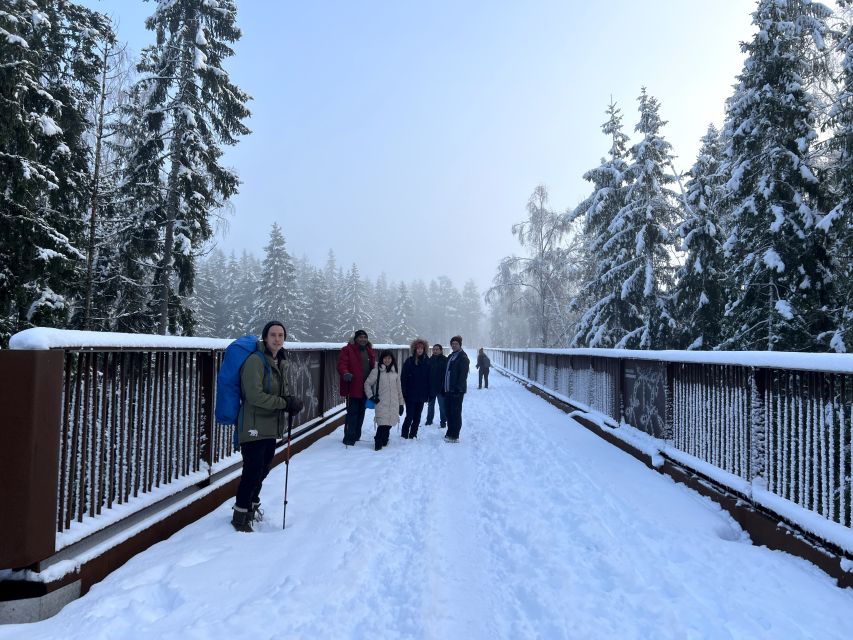 From Helsinki: Hike and Sauna in Sipoonkorpi National Park - Should you book this Helsinki nature tour?