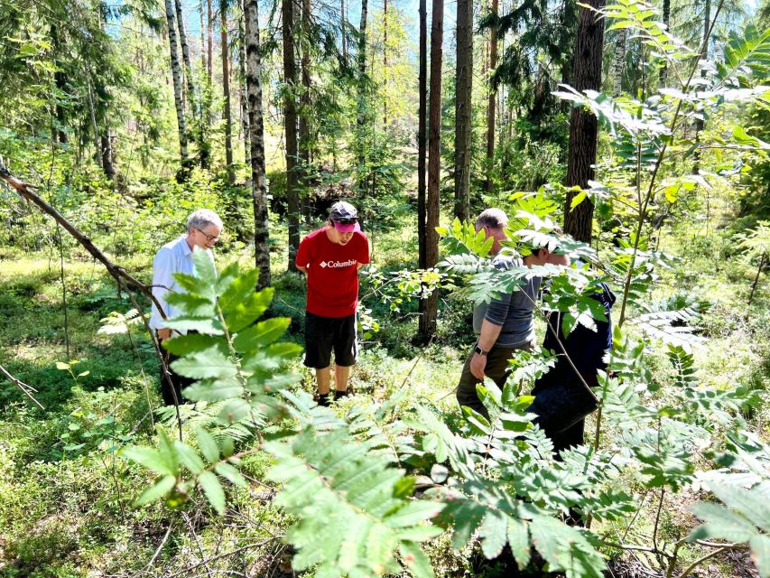 From Helsinki: Hike and Sauna in Sipoonkorpi National Park - Leaving Helsinki for Sipoonkorpi