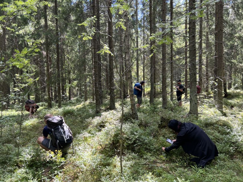 From Helsinki: Hike and Sauna in Sipoonkorpi National Park - A campfire lunch in the woods