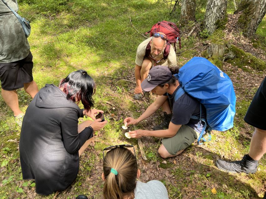 From Helsinki: Hike and Sauna in Sipoonkorpi National Park - Is $194 good value?