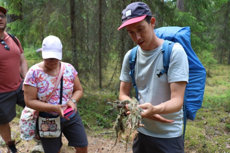 From Helsinki: Magical Taiga Hike in Liesjärvi National Park - A Finnish lunch beside the lake