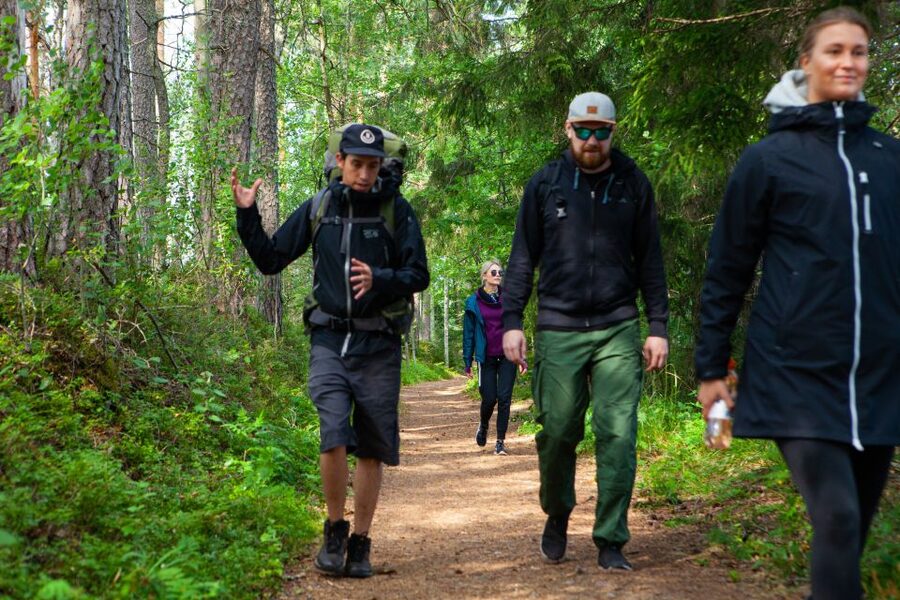 From Helsinki: Magical Taiga Hike in Liesjärvi National Park - Returning through the park