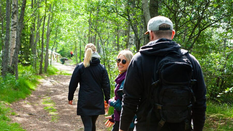 From Helsinki: Magical Taiga Hike in Liesjärvi National Park - Walking into the Taiga forest