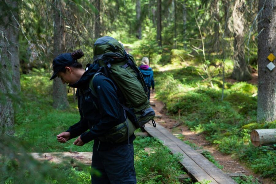 From Helsinki: Mushroom Hunting Tour in a National Park - Key points to know before you book