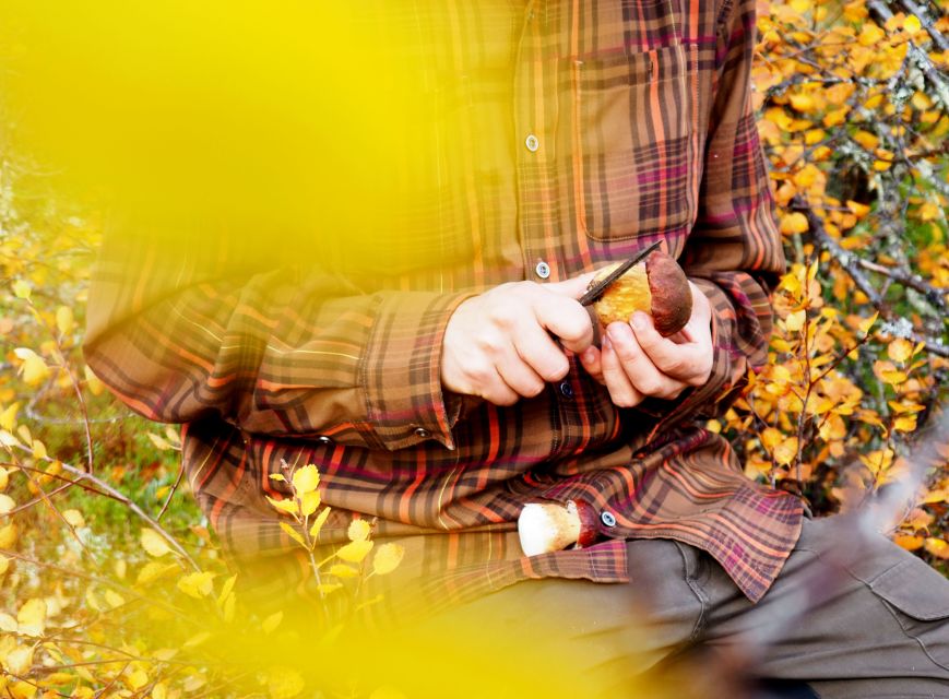 From Helsinki: Mushroom Hunting Tour in a National Park - Booking, cancellation, and the final call