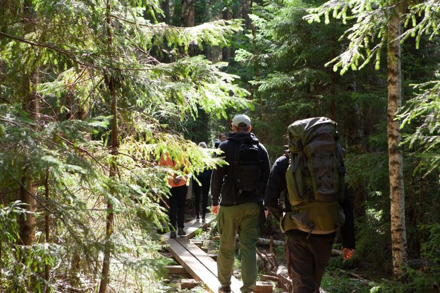 From Helsinki: Mushroom Hunting Tour in a National Park - What you may put in the basket