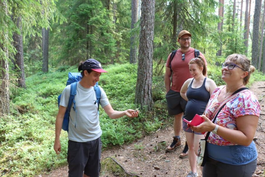 From Helsinki: Mushroom Hunting Tour in a National Park - Is $182 a fair price?