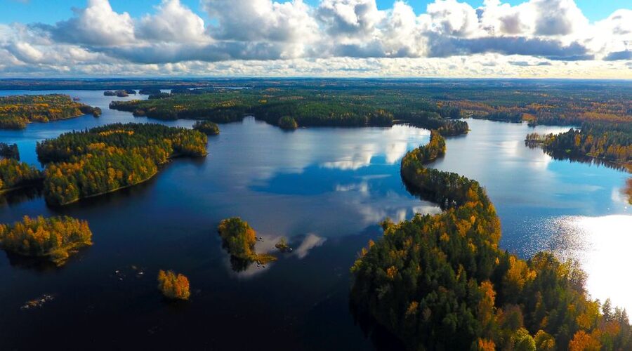 From Helsinki: Mushroom Hunting Tour in a National Park - Who will enjoy this day most?