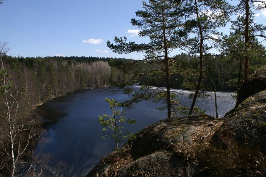 From Helsinki: Nuuksio National Park Half-Day Trip - Why Nuuksio makes a strong half-day from Helsinki